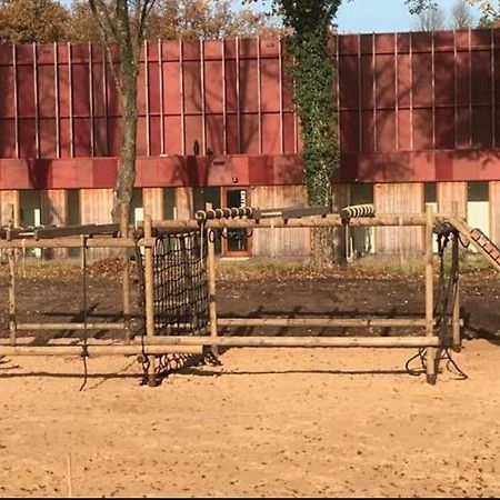 Knus vrijstaand boshuisje op de Hoge Veluwe Hoenderloo Buitenkant foto